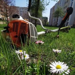 Ein Stihl Rasentrimmer liegt auf einer gepflegten Rasenfläche mit blühenden Gänseblümchen. Im Hintergrund sind Wohngebäude und Bäume zu sehen – Symbolbild für professionelle Gartenpflege in städtischer Umgebung.